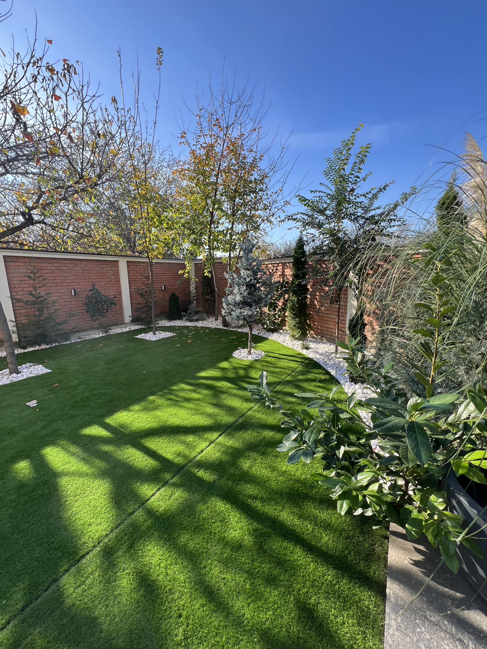 Walled garden lawn at the rear of the house